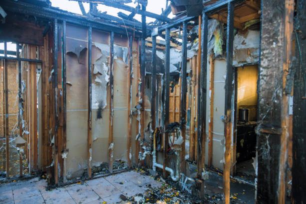 Professional Fire Damage Removal technician working in Lexington, TX